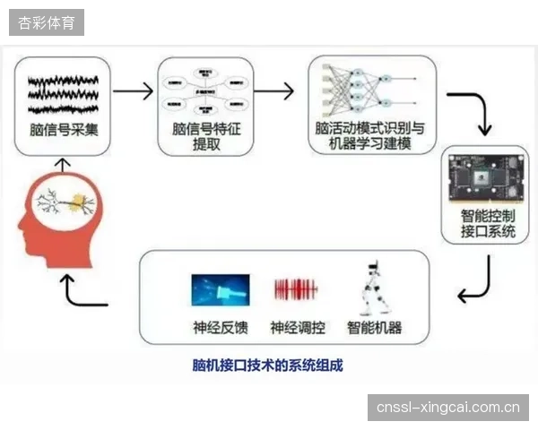 下一代产品的竞争焦点：解放双手的语音控制和非侵入式脑电控制将成为高端运动辅具标配